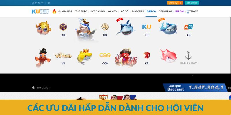 Các chuyên mục nổi bật của nhà cái uy tín