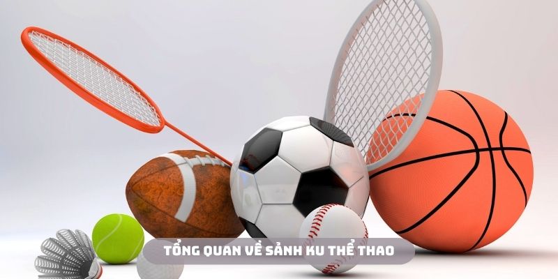 Ku thể thao là sân chơi có chất lượng hết sức tuyệt vời